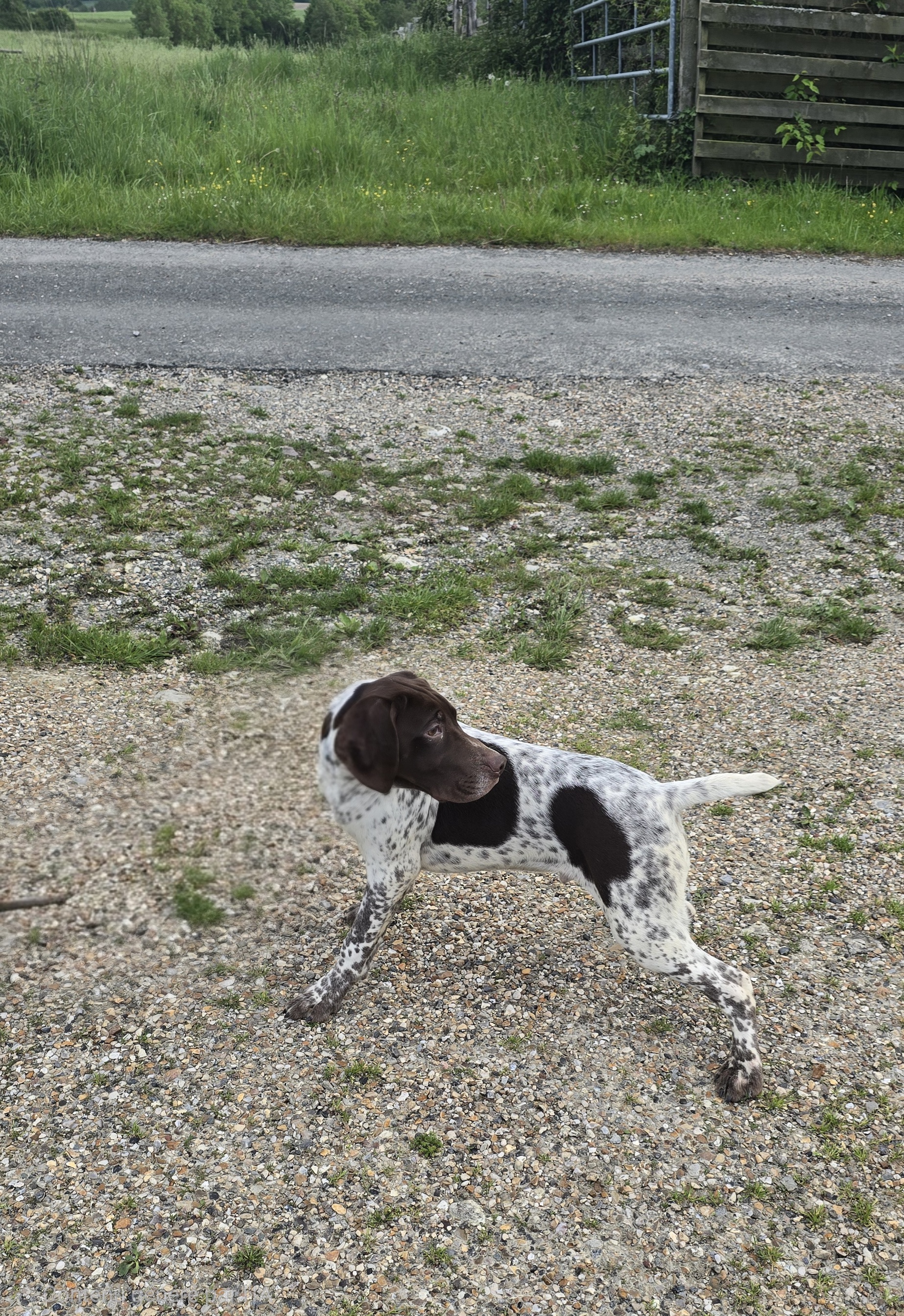 Photo album